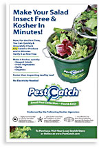 Print advertisement for Pest Catch