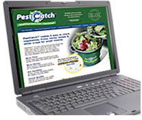 Laptop with Pest Catch website on screen