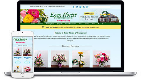 ecommerce-website-homepage-essex